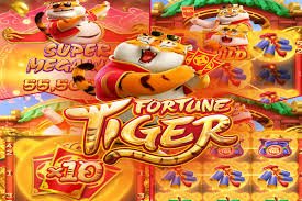 Live dealer studio with multiple camera angles and HD stream